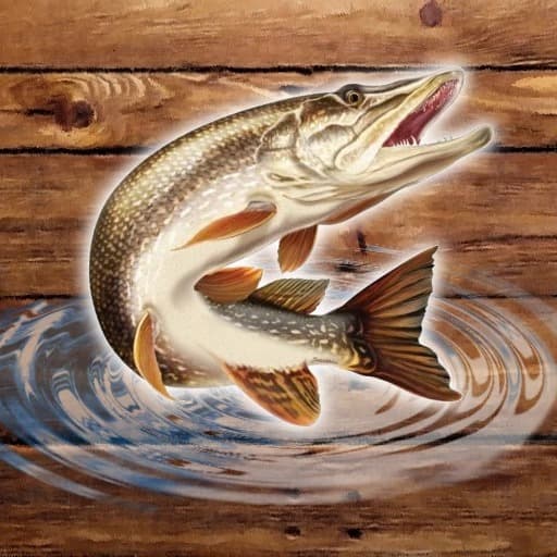 free online games - Fish rain