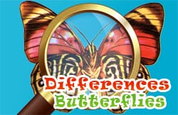free online games - Differences Butterflies