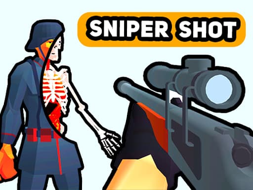 free online games - Sniper Shot Bullet Time