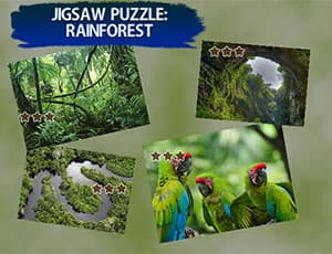 free online games - Jigsaw Puzzle Rain Forest
