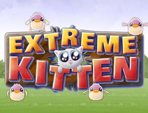 free online games - Extreme Kitten