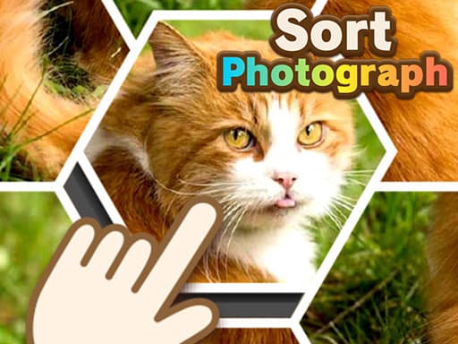 free online games - Sort Photograph