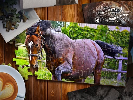 free online games - Jigsaw Puzzle Horses Edition