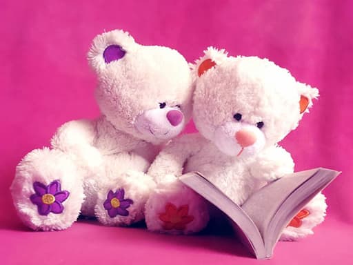 free online games - Cute Teddy Bears Slide
