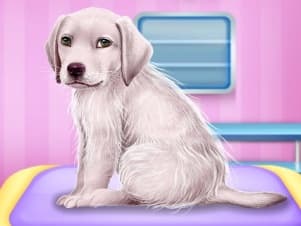 free online games - Labrador at the Doctor Salon