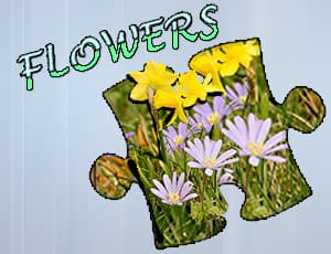 free online games - Jigsaw Puzzle Flowers