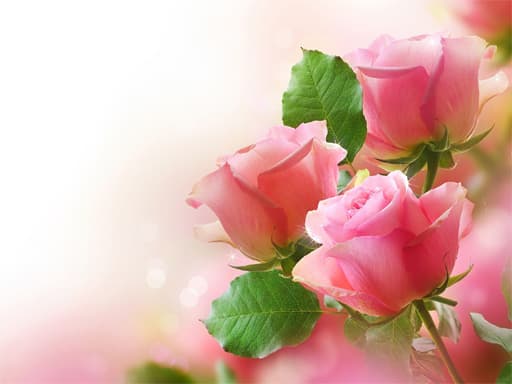 free online games - Pink Roses Puzzle