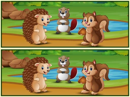 free online games - Spot The Differences Forests