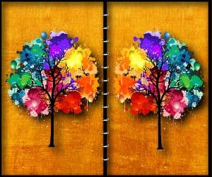 free online games - Forest Spot the Difference