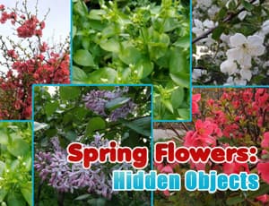 free online games - Spring Flowers Hidden Objects