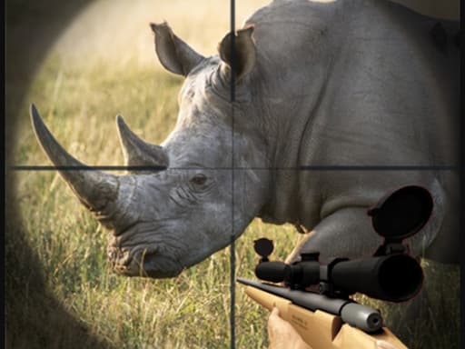 free online games - Wild Rhino Hunter