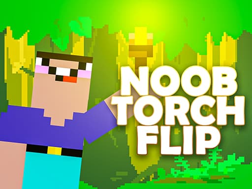 free online games - Noob Torch Flip 2D