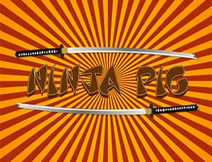 free online games - NinjaPig