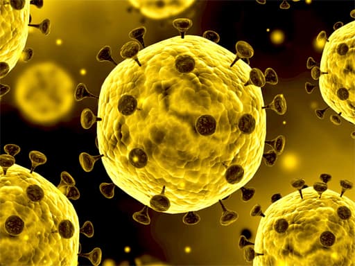 free online games - Coronavirus Slide