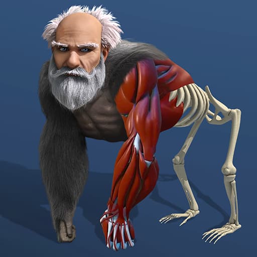 free online games - Idle Evolution From Cell to Human
