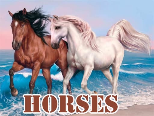 free online games - Horses Slide