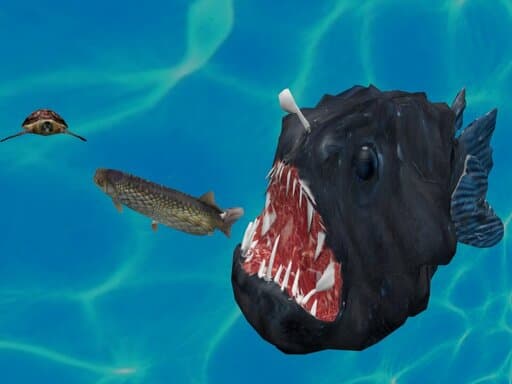 free online games - Fish3Dio
